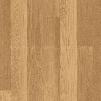 Madera Natural Parquet Roble Exclusivo